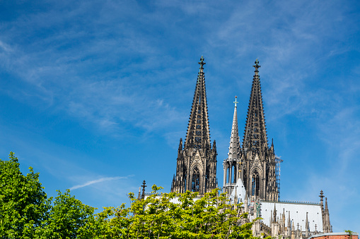 Cologne Cathedral roof and towers with a green tree in the foreground and blue sky