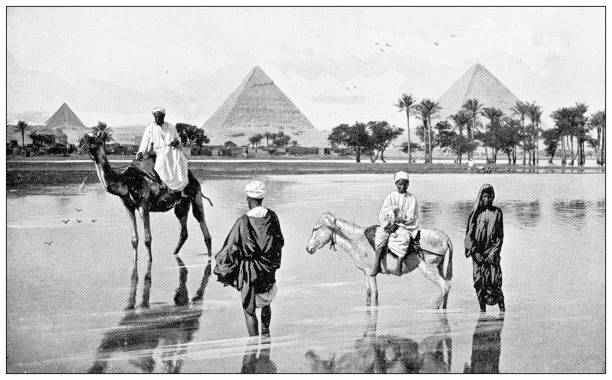 античные фотографии египта: наводнение - egypt pyramid cairo camel stock illustrations