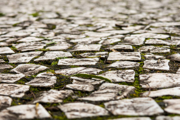 Traditional Portuguese stone paving typical of Brazilian cities with Lusitanian influence