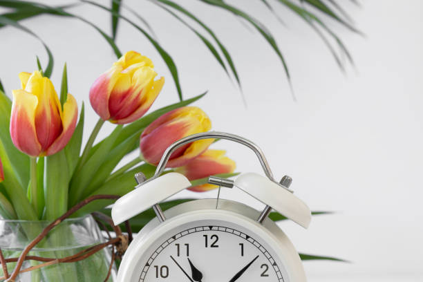 istock Half of white clock and tulips on white 1368617723