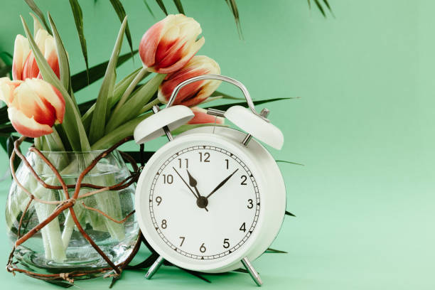 White alarm clock and tulips on green White retro alarm clock with a bud vase filled with red and yellow tulips and palm leaves on a vibrant modern green background with copy space canada close up color image day stock pictures, royalty-free photos & images