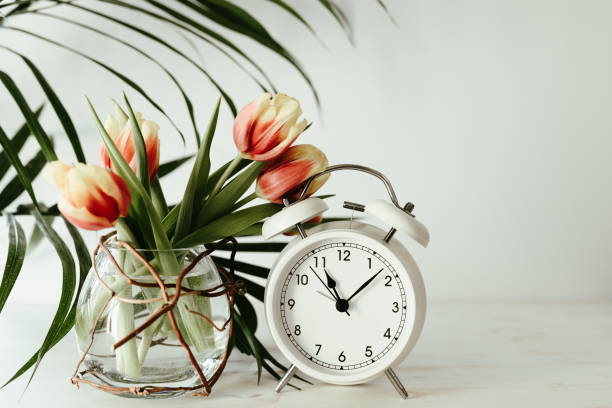 istock White alarm clock and tulips 1368617742