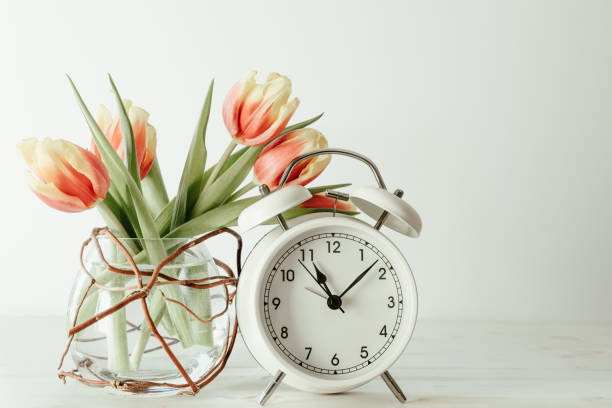 istock White alarm clock and tulips on white 1368617757