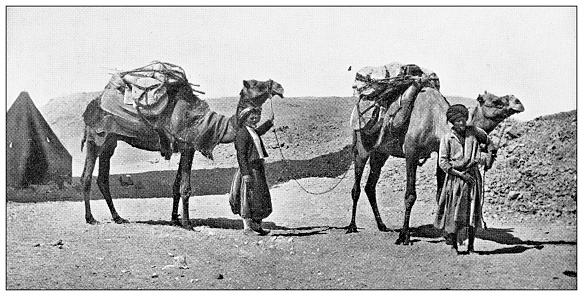 Antique travel photographs of Egypt: Men with camels