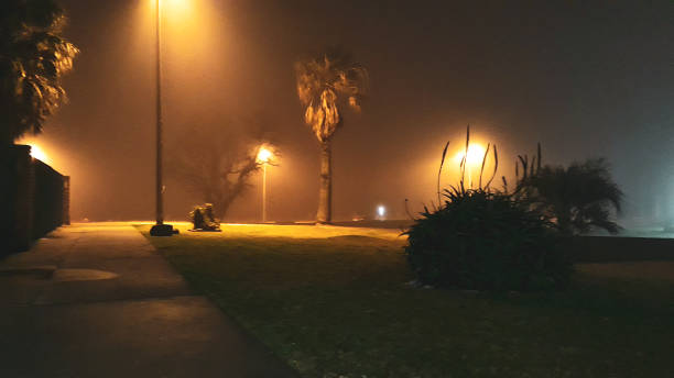 istock Foggy Empty Urban Park, Montevideo Uruguay 1368620961