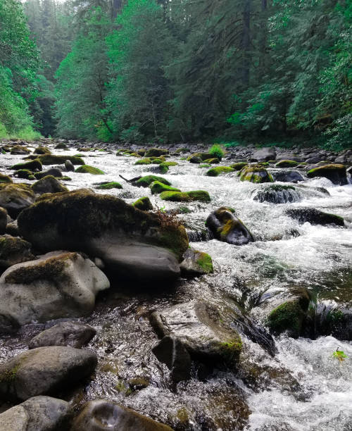 istock Old Salmon River in Oregon 1368623844