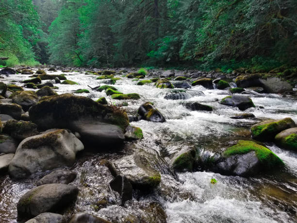 istock Old Salmon River in Oregon 1368623858