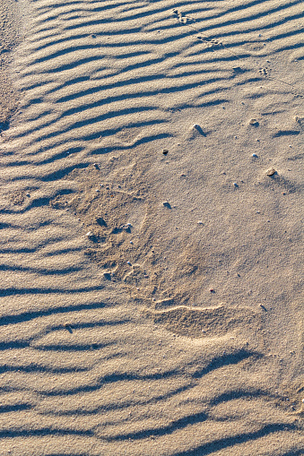 Wave traces in the sand