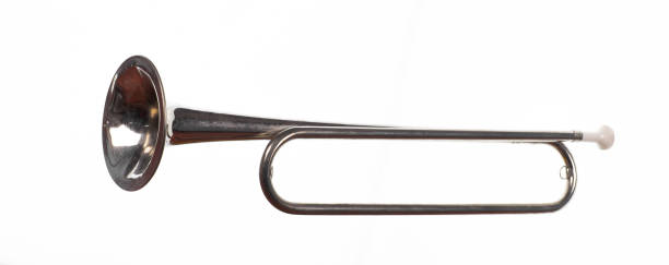 istock vintage musical hunting horn isolated on white background 1368627988