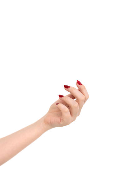 Beautiful female hand with red manicure nails isolated stock photo