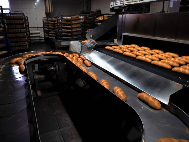istock Conveyor belt with freshly baked bread. Production at the bakery 1368629596