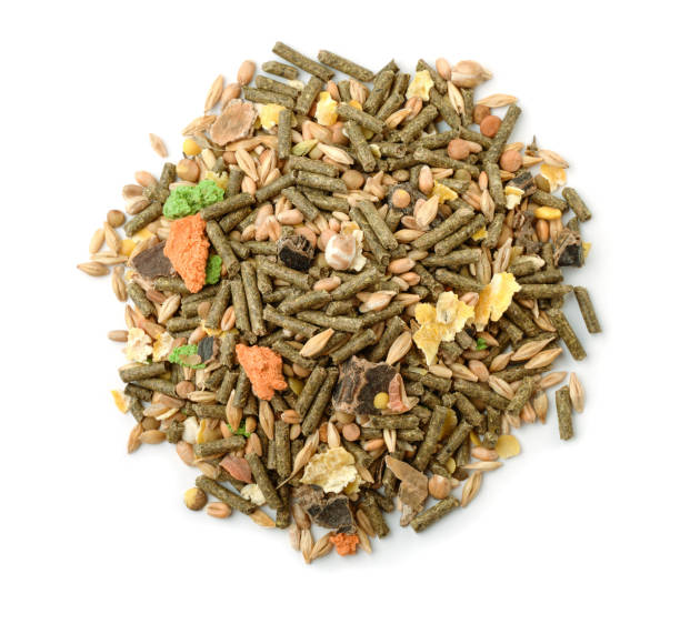 istock Top view of rodents feed 1368633734