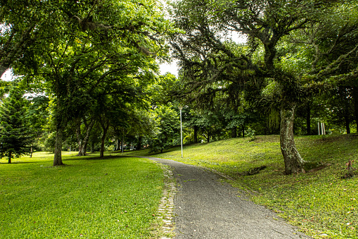 Footpath in Bosque Papa João Paulo II Public Park, Curitiba, Brazil