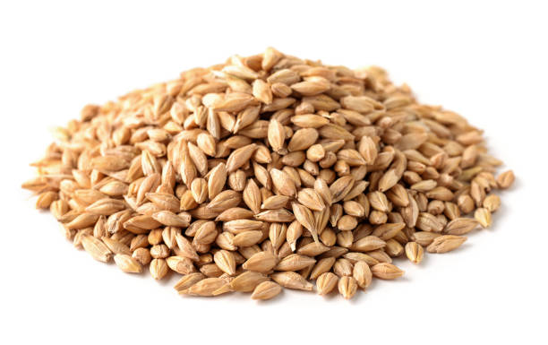 mucchio di semi d'orzo - brewery beer barley cereal plant foto e immagini stock