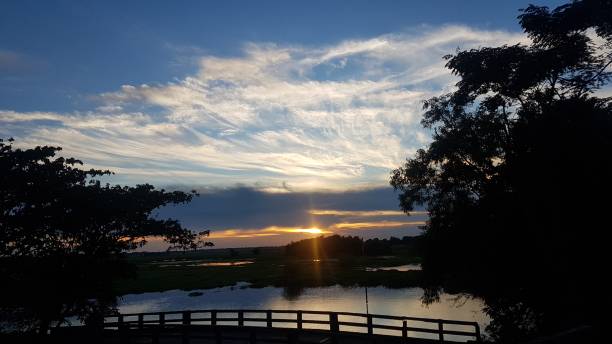 istock A beautiful natural sunshine view with river 1368638983
