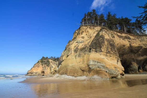istock Rugged Rocky  Oregon Coastline 1368641732