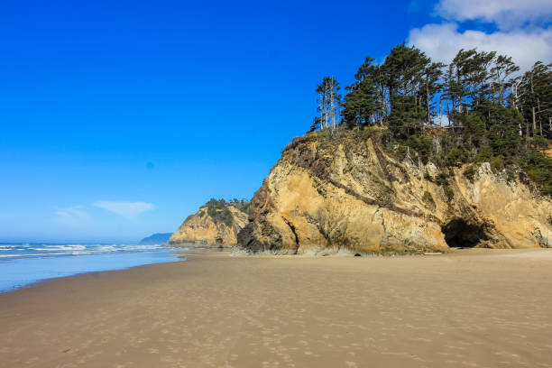 istock Rugged Rocky  Oregon Coastline 1368642046