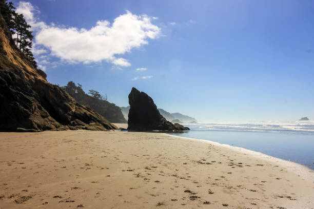 istock Rugged Rocky Oregon Coastline 1368642047