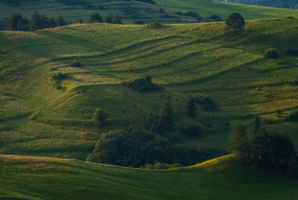 istock Mountain Landscape Green Hills, Pieniny, Poland 1368642813