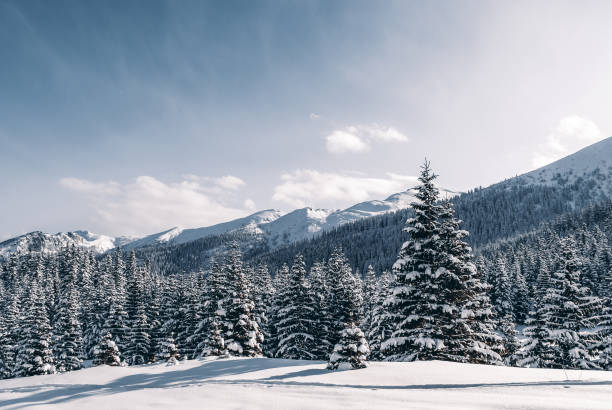 istock Winter mountain landscape, Tatra Mountains, Poland 1368649042