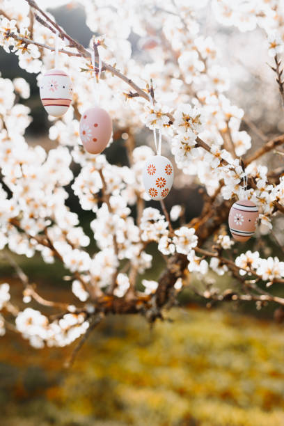 istock Boho easter eggs in beige and brown tones hanging in between almond blossoms in a beautiful sunlight on an almond tree 1368650405