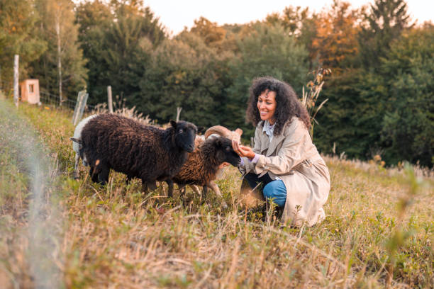 Portrait of beautiful Hispanic woman in mid 40s spending day on a farm and feeding goats.