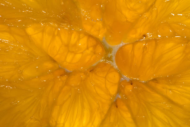 Closeup of citrus fruit. Citrus background, wallpaper