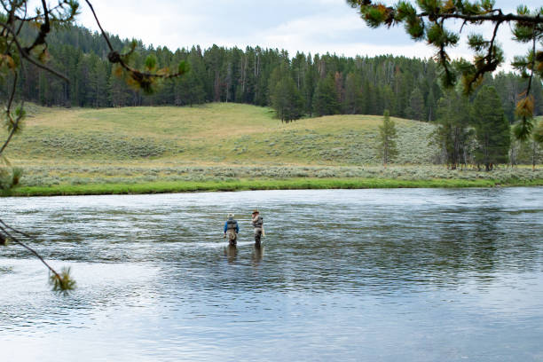 istock Fly fishermen Yellowstone NP 1368652031