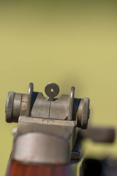 istock Narrow depth of field view down rifle sights with bright greenery in background 1368655070