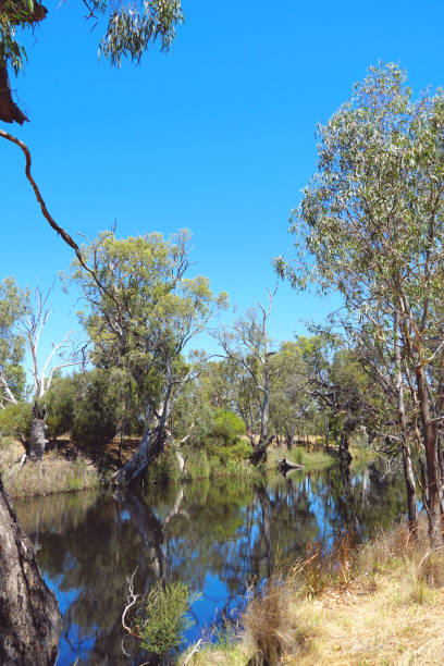 istock Horsham,  Victoria, Australia 1368663115