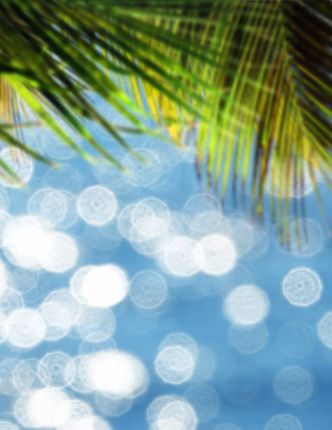 istock Close up palm tree leaves over shiny blue seascape 1368663901
