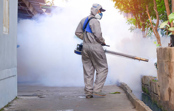 Trabalhador da saúde ao ar livre usando máquina de nebulização pulverizando produtos químicos para eliminar mosquitos e prevenir a dengue em área de favela Trabalhador da saúde ao ar livre usando máquina de nebulização pulverizando produtos químicos para eliminar mosquitos e prevenir a dengue em área de favela coberta de vegetação Imagens de stock, fotos e imagens livres de direitos autorais