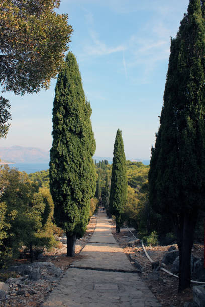 istock Path on Lokrum island Dubrovnik 1368665130