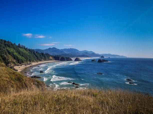 istock Rugged and Scenic Oregon Coastline from Ecola State Park Viewpoint 1368666151