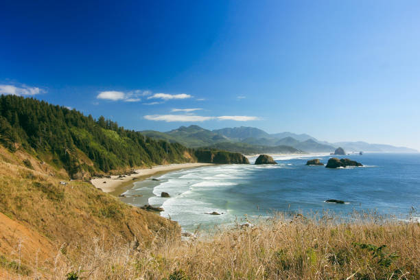 istock Rugged Oregon Coastline from Ecola State Park Viewpoint 1368666153