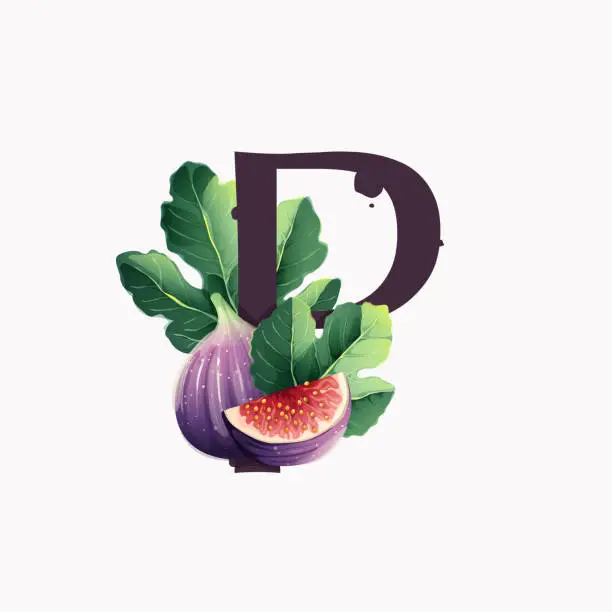 Vector illustration of Letter P logo with fresh ripe purple fig fruit and slices with leaf.