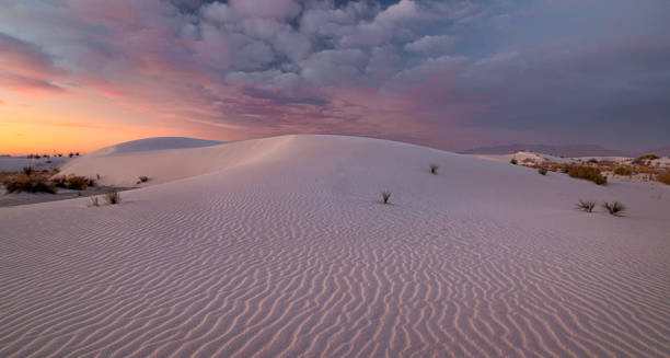 morning, white sands national park - white sands national monument imagens e fotografias de stock