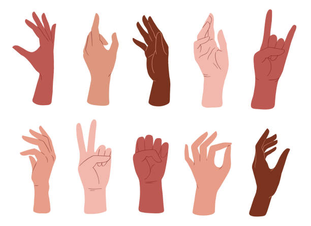 Different skin colors hands collection. Human palms, wrists, fists. Different gestures. Vector illustration hands stock illustrations