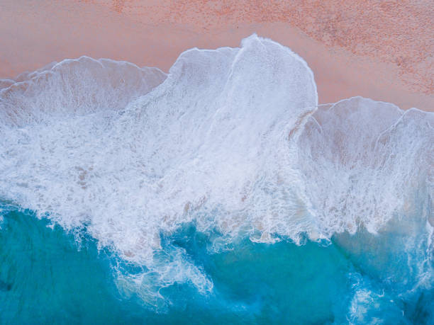istock Paradise beach aerial viev 1368683992