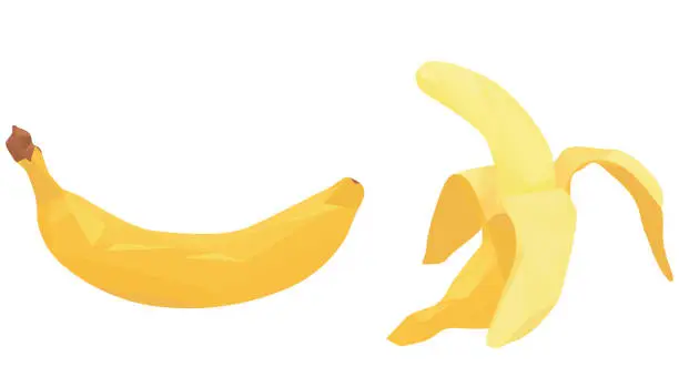 Vector illustration of set of bananas isolated on white background. banana in peel. peeled banana. tropical fruits. geometric style. flat vector.