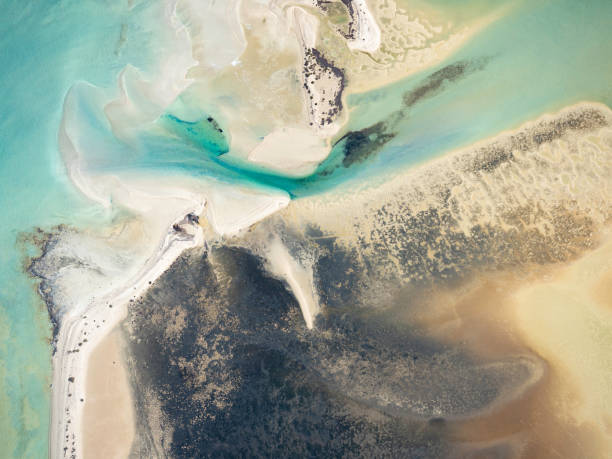 istock Aerial view of water and sand pattern 1368686904