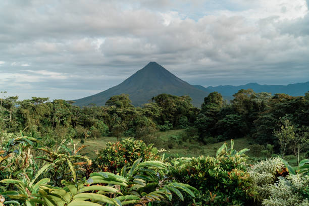 istock Arenal Volcano view from lush rainforest foliage 1368691961