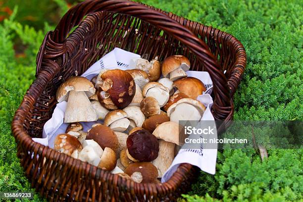 Hongos Porcini Boletus Edulis En Una Canastilla Foto de stock y más banco de imágenes de Cesta - Cesta, Cocinar, Comestibles