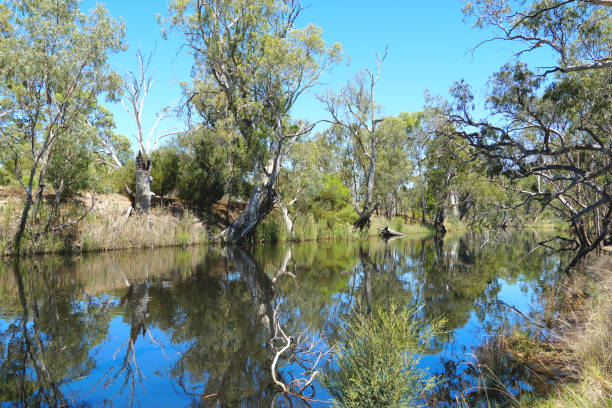 istock Horsham,  Victoria, Australia 1368693594