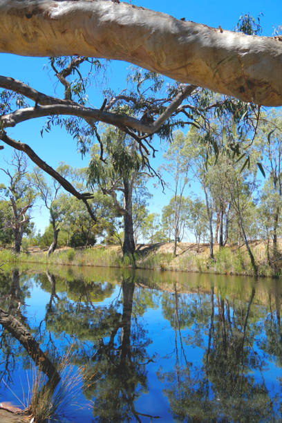 istock Horsham,  Victoria, Australia 1368693648