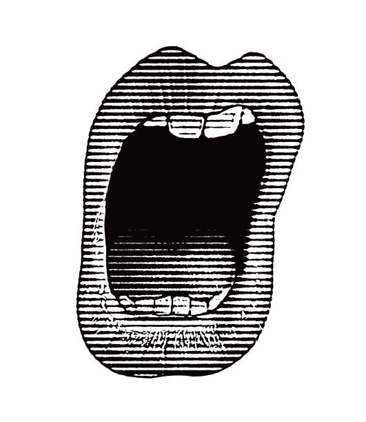 ilustraciones, imágenes clip art, dibujos animados e iconos de stock de primer plano de la boca de la mujer cantando - mouth open illustrations