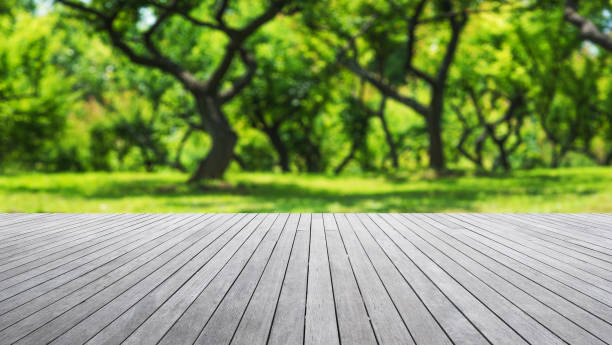 istock Empty wooden platform and spring nature blurred abstract background 1368696186