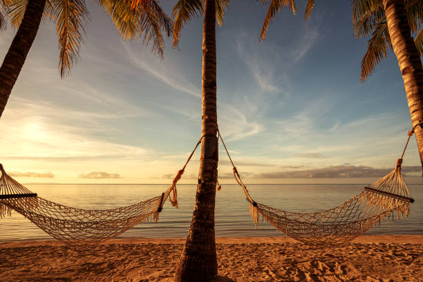 istock Hammock under coconut palm trees on the tropical beach 1368697857