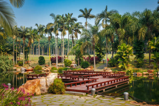 Scenic spot, bridge over a pond, palm trees, traditional Asian landscape design stock photo