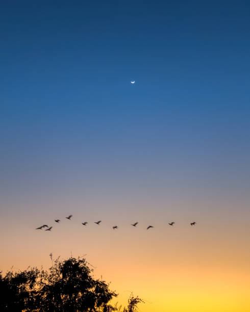 istock Sunsets are proof that endings can be beautiful too 1368707553